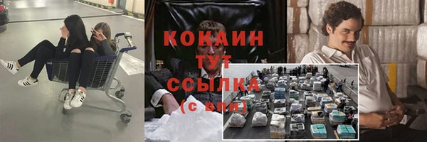 стафф Армянск