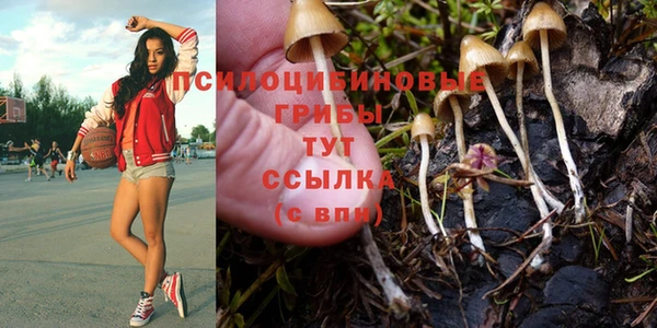 стафф Армянск