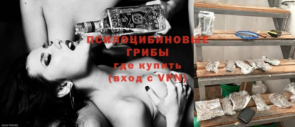 стафф Армянск