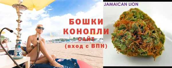 дурь Арсеньев